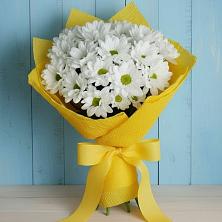 Букет цветов из:  Хризантемы во Владимировской